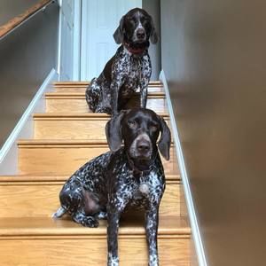 Meet your Posher, Lenna